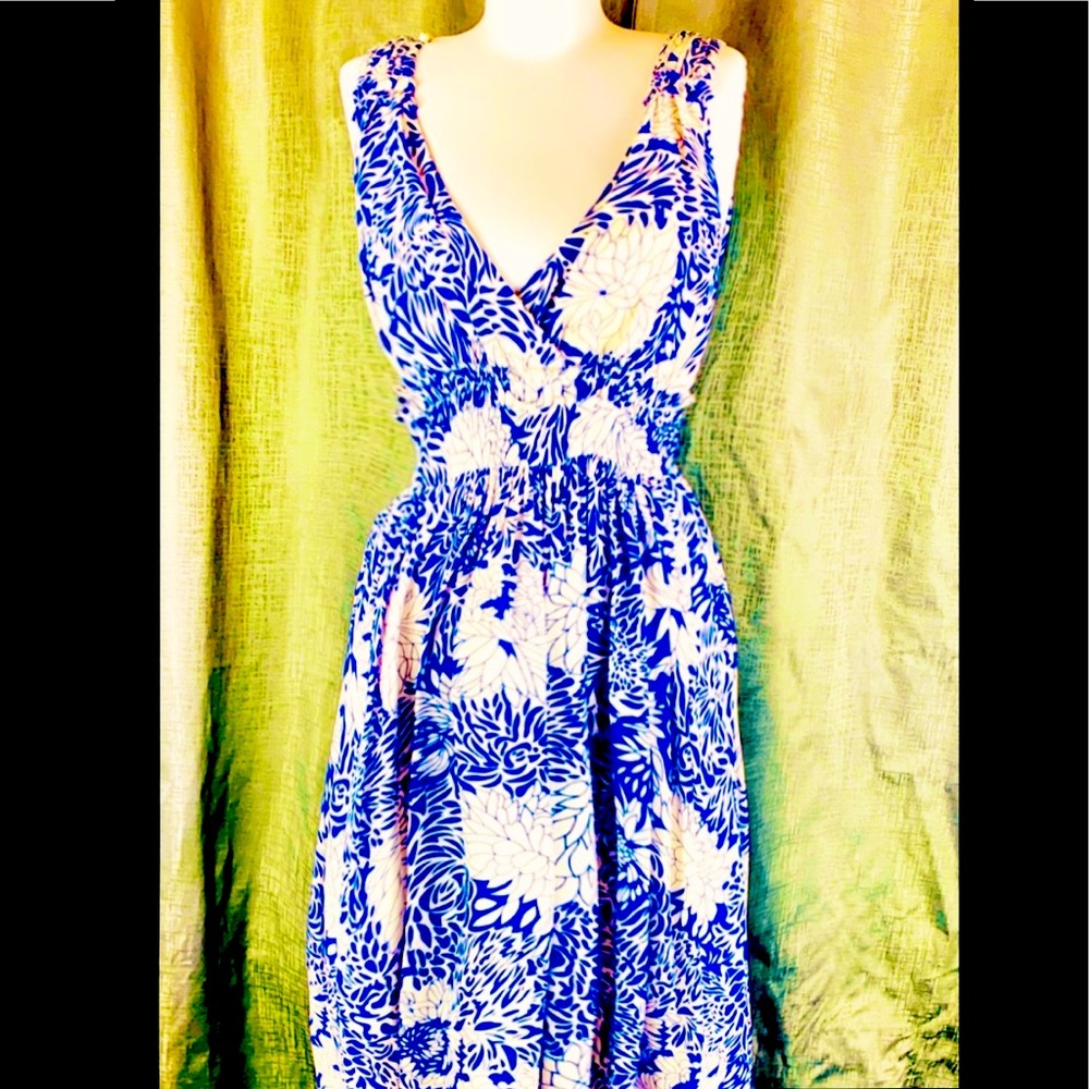 Beautiful Silk Dress